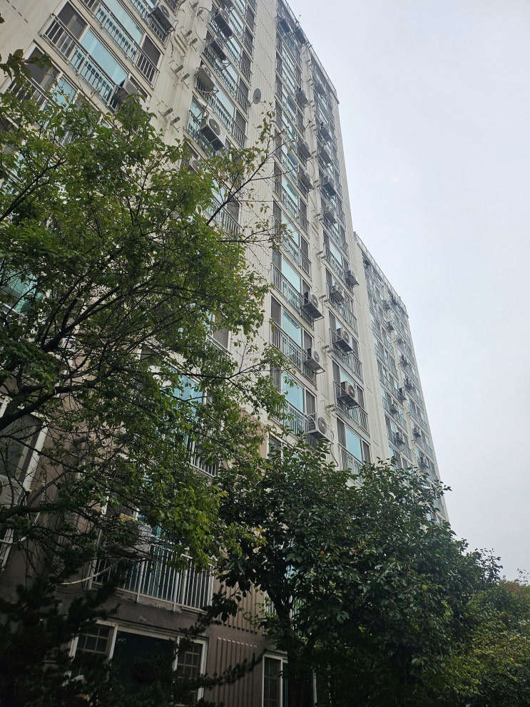  인천 폐가전 무상수거 전문업체 현장 후기
