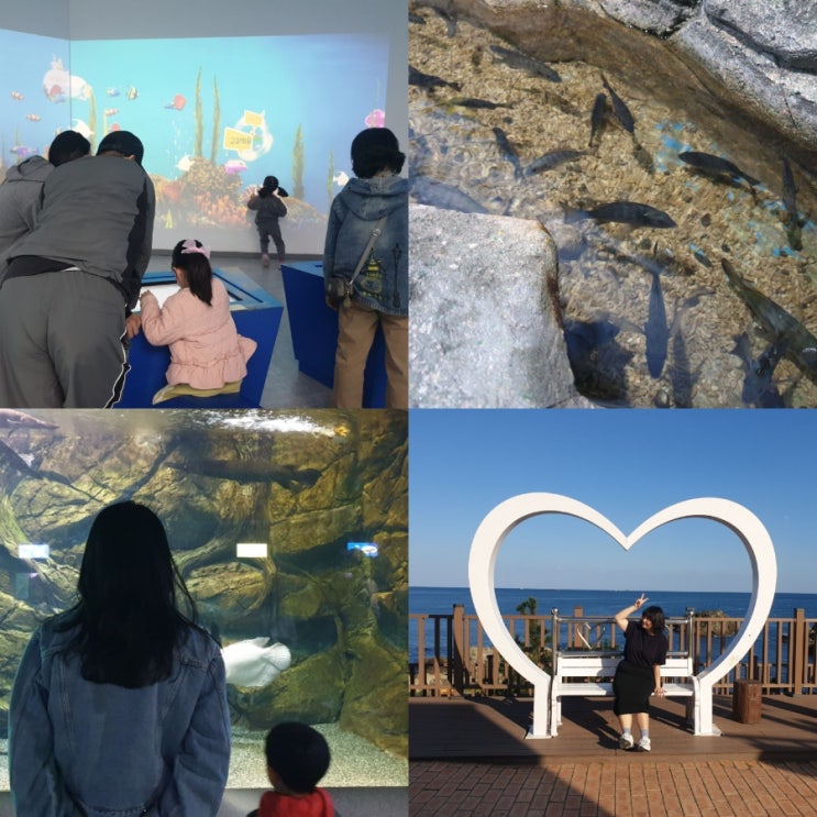  부산 기장 아이와 실내 가볼만한곳 국립수산과학원수산과학관