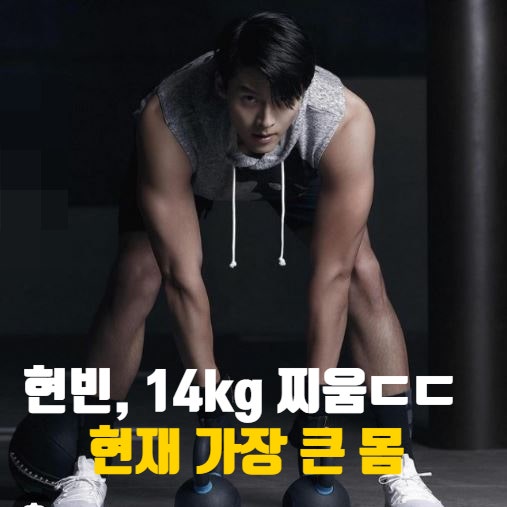 현빈 14kg 벌크업 메이드인코리아 최고 몸무게