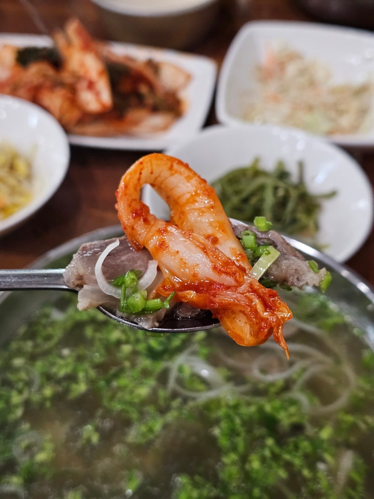  제주공항근처 연동맛집 애월미나리 곰탕 추천