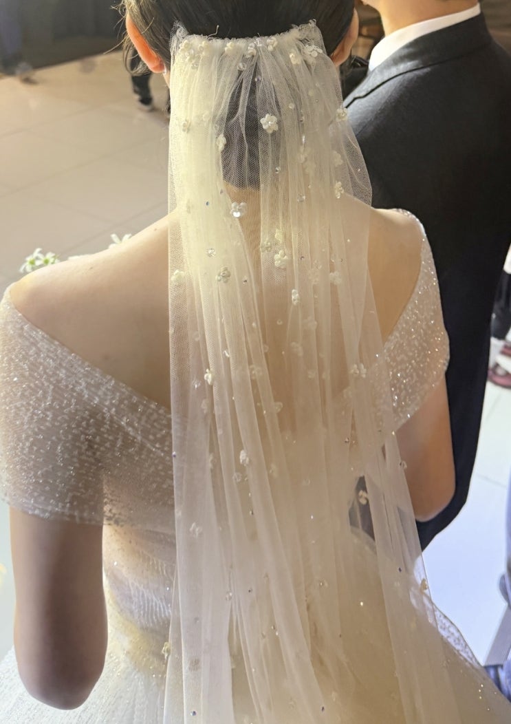  클라우디아 인천점 후기 - 베일 종류
