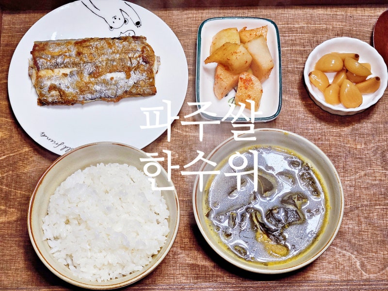 맛있는 쌀 햅쌀 경기미 신품종 참드림 파주쌀 한수위 10kg 혼밥 밥상 후기