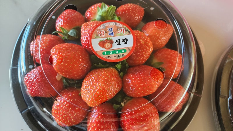 임신 10주 차, 입덧 완화, 마미렉틴 복용 중단, 먹덧 탈출 신호! 임신 초기 비용 식비