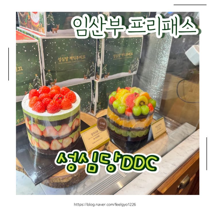  성심당 DDC점 줄 없이 이용하는 법｜임산부 프리패스로 대기 없이 + 5% 할인 후기
