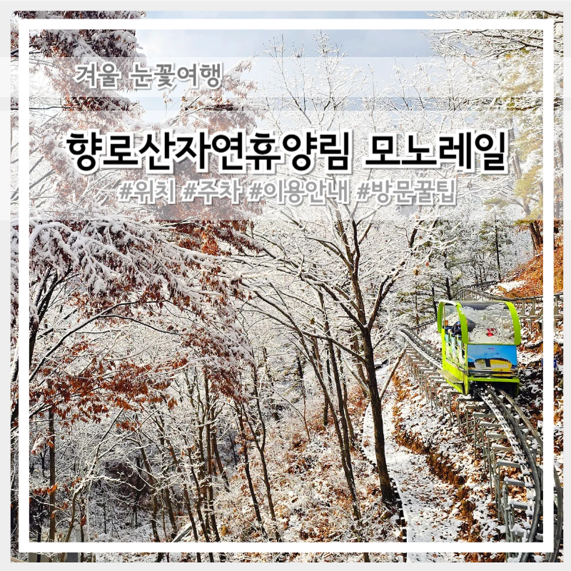 눈꽃여행