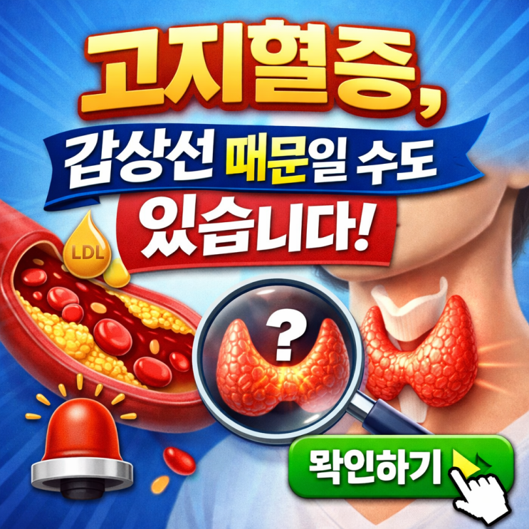  고지혈증과 갑상선 기능 저하증의 숨은 연결고리｜콜레스테롤이 쉽게 오르는 진짜 이유