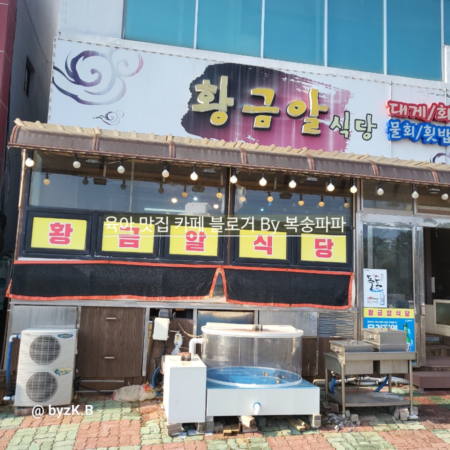 황금알식당 사진 1