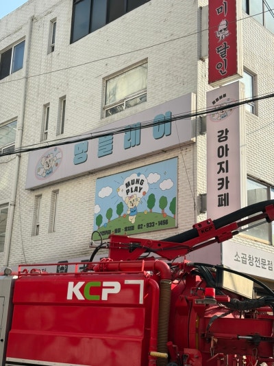 사진 6