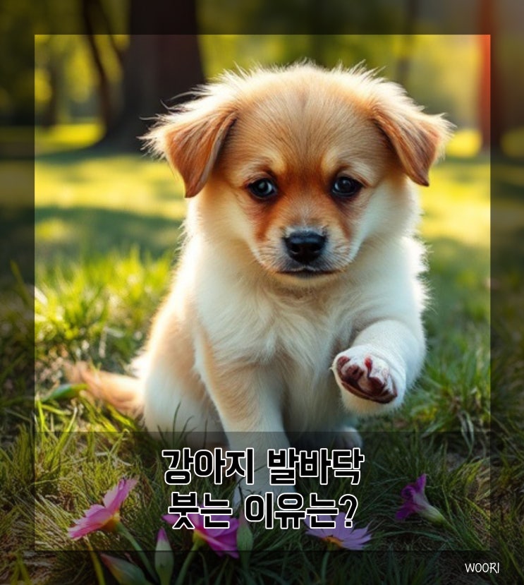  강아지 발바닥 부음, 붓는 이유는?