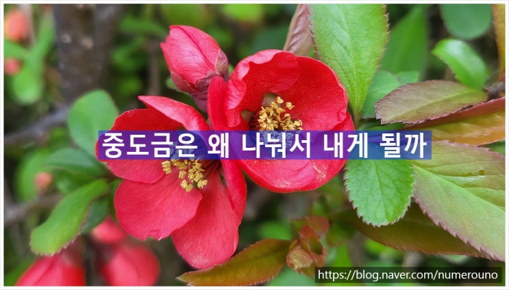  중도금은 왜 나눠서 내게 될까