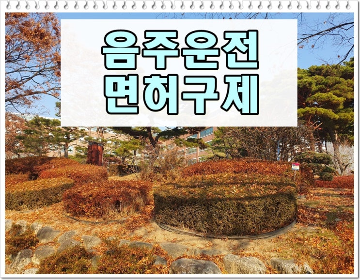  여주 행정사 음주운전 면허취소 구제 절차