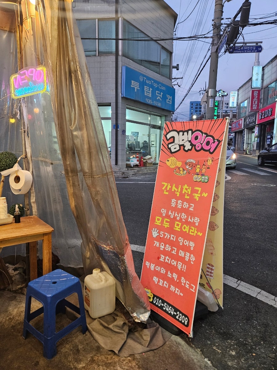 금빛잉어 사진 2