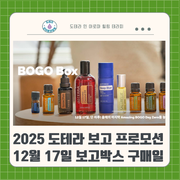  12월 17일 오늘 마감! 도테라 보고(BOGO) 시작! 5개 사면 8개를 주는 역대급 박스 공개
