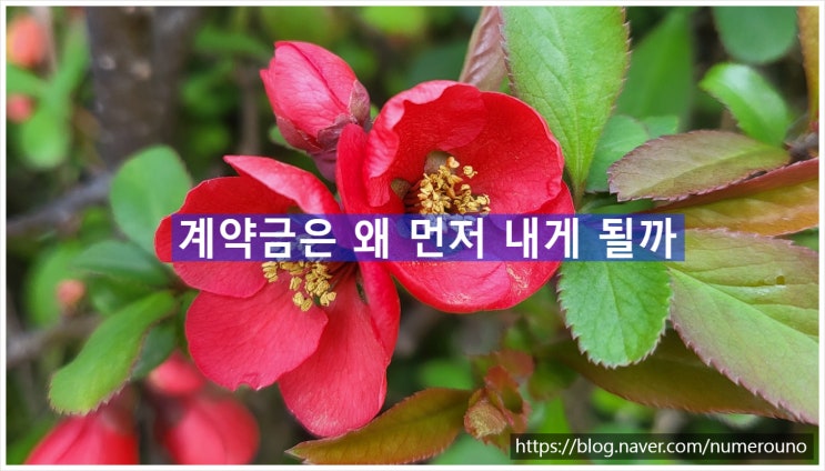  계약금은 왜 먼저 내게 될까