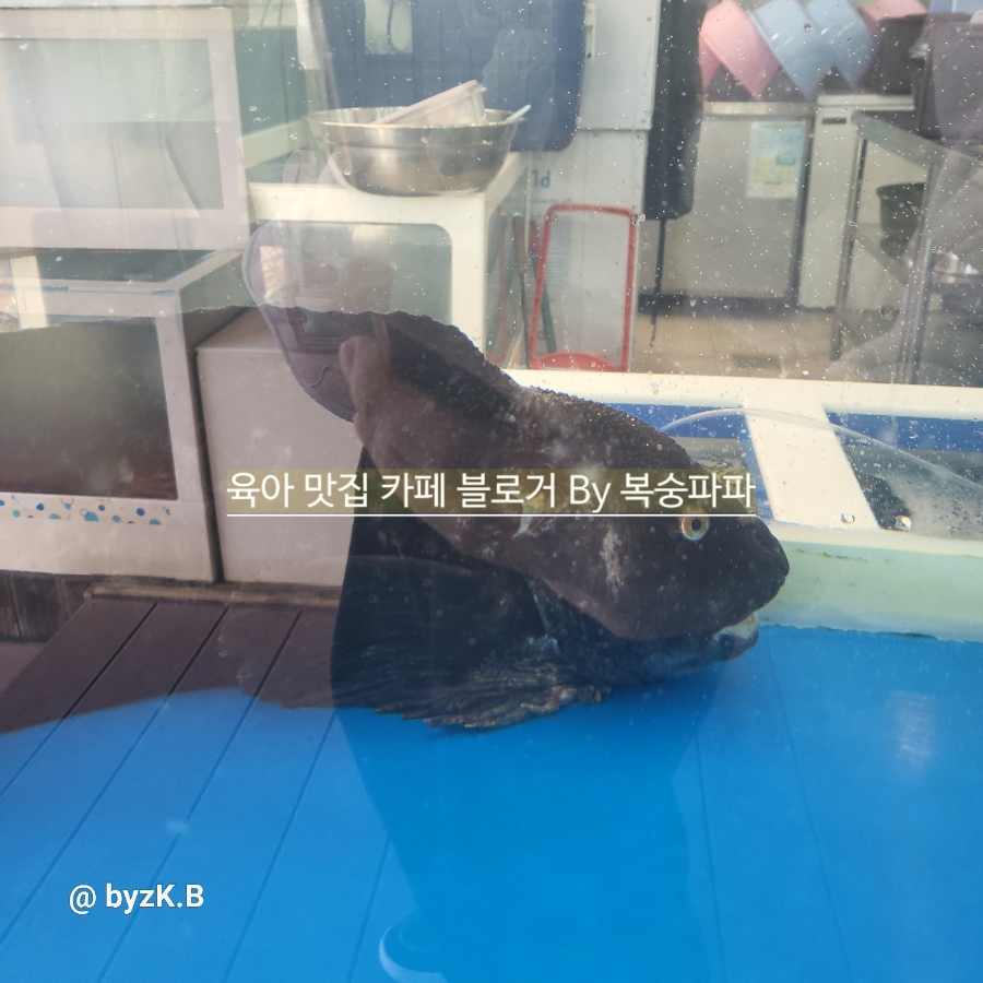 황금알식당 사진 6