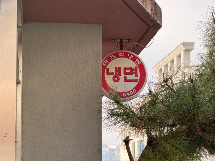  [춘천 근본 회냉면]매콤달콤한 명태회의 유혹! 춘천 동내면 '속초회냉면' 방문 후기 ️
