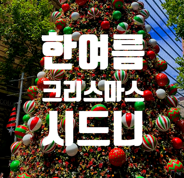  반팔 입고 만나는 낭만, 한여름의 크리스마스트리