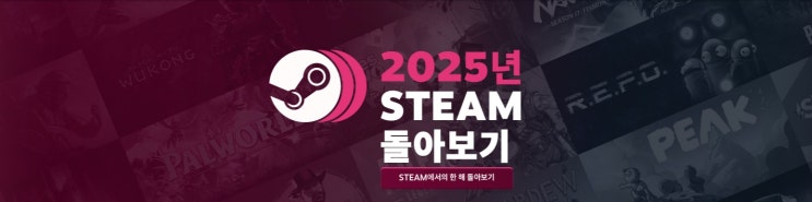  나의 2025년 STEAM 돌아보기 (feat. 2024년)