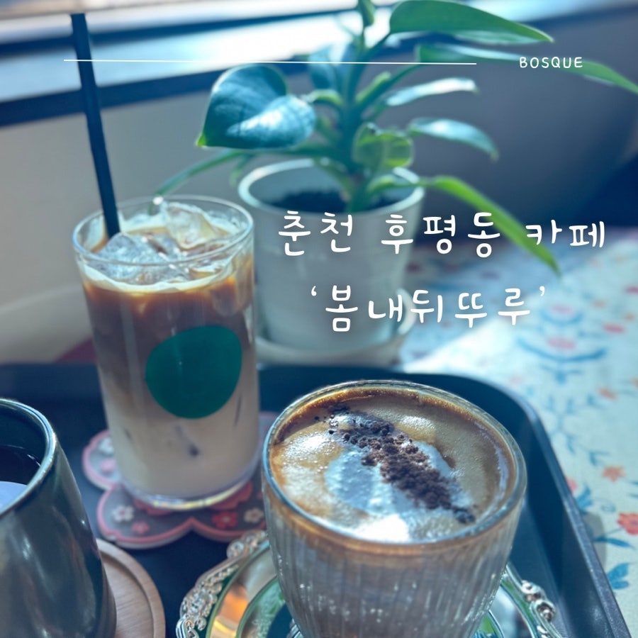 봄내뒤뚜루 사진 1