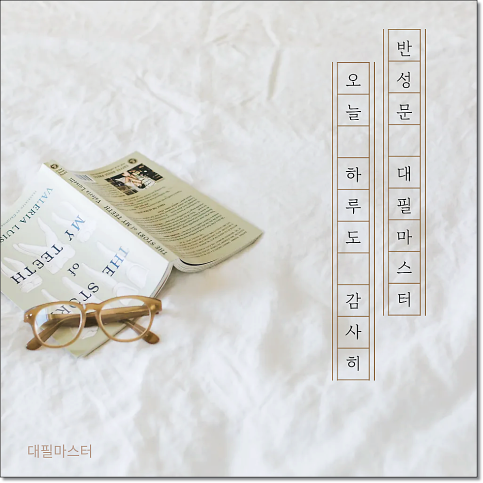 음주운전 양형자료 뜻 피고인 양형자료 어떤게 있을까? 관련 사진