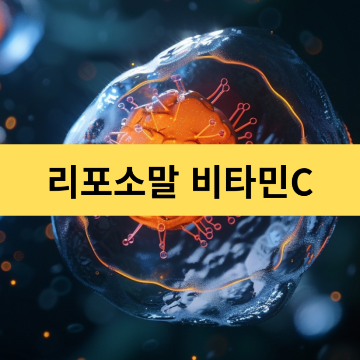  일반 비타민C VS 리포소말 비타민C 차이점 | 흡수율 차 비타민 리포소말 기술