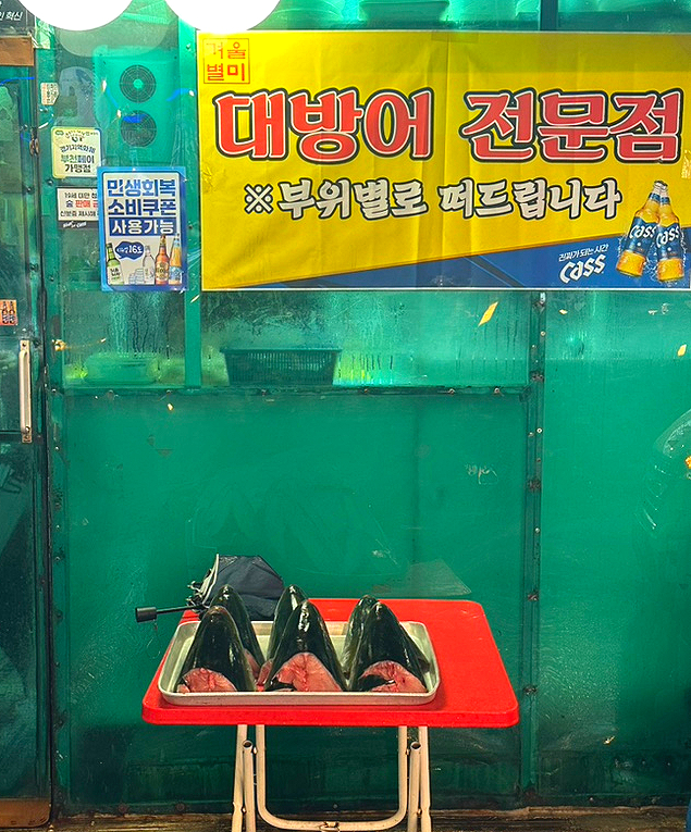 다원오징어나라 사진 4