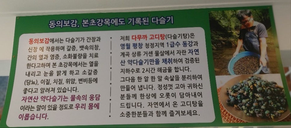 다무까 사진 3
