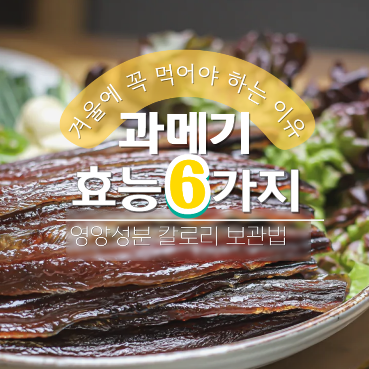  과메기 효능 보관법 과메기 철 시기 당뇨