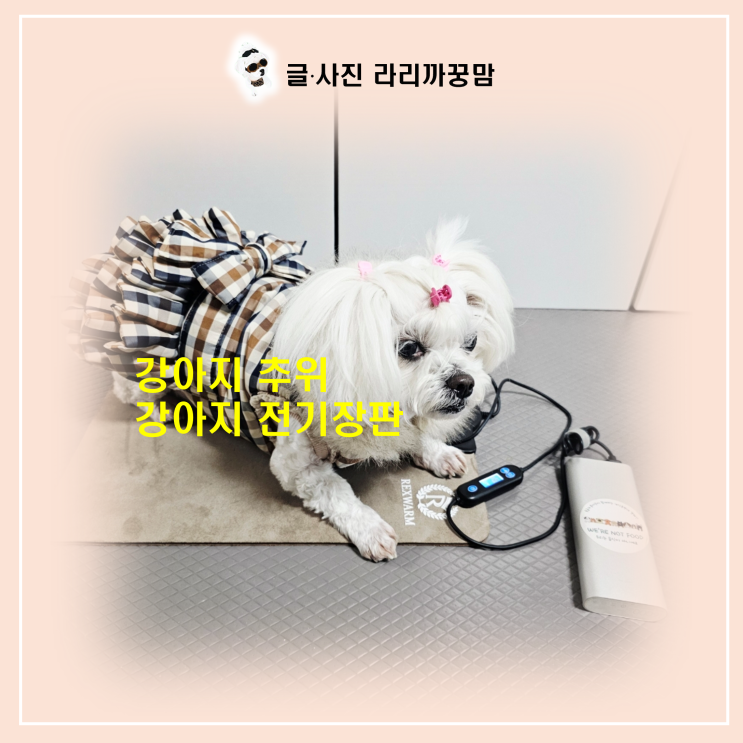  시간+온도 조절은 필수! 노령견 강아지 전기장판 고를 때 꼭 확인해야 할 기능!