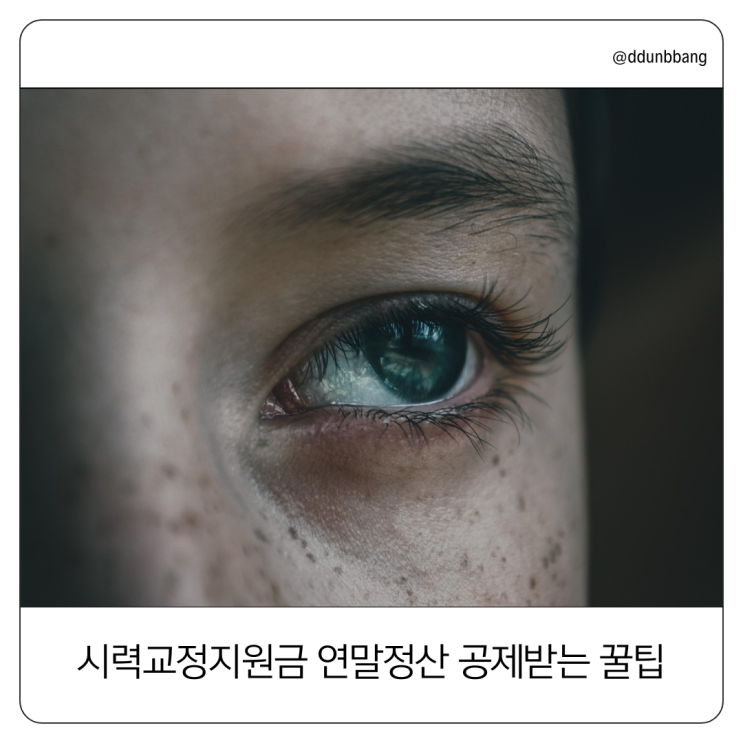  시력교정 지원금으로 안경·렌즈 비용 환급받는 법! 연말정산 의료비 공제 꿀팁