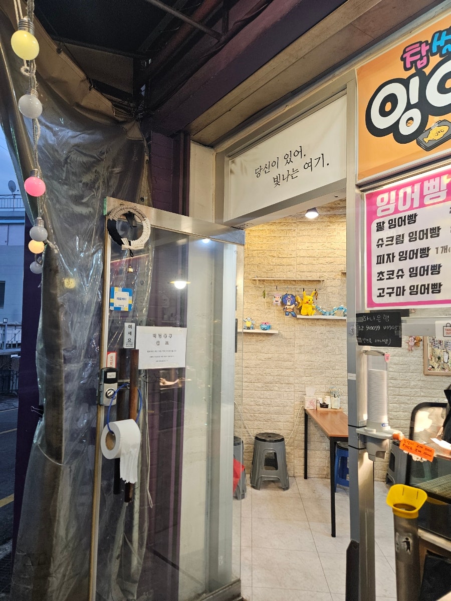 금빛잉어 사진 6