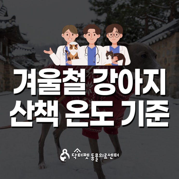  겨울철 강아지 산책 온도 기준 부산동물병원