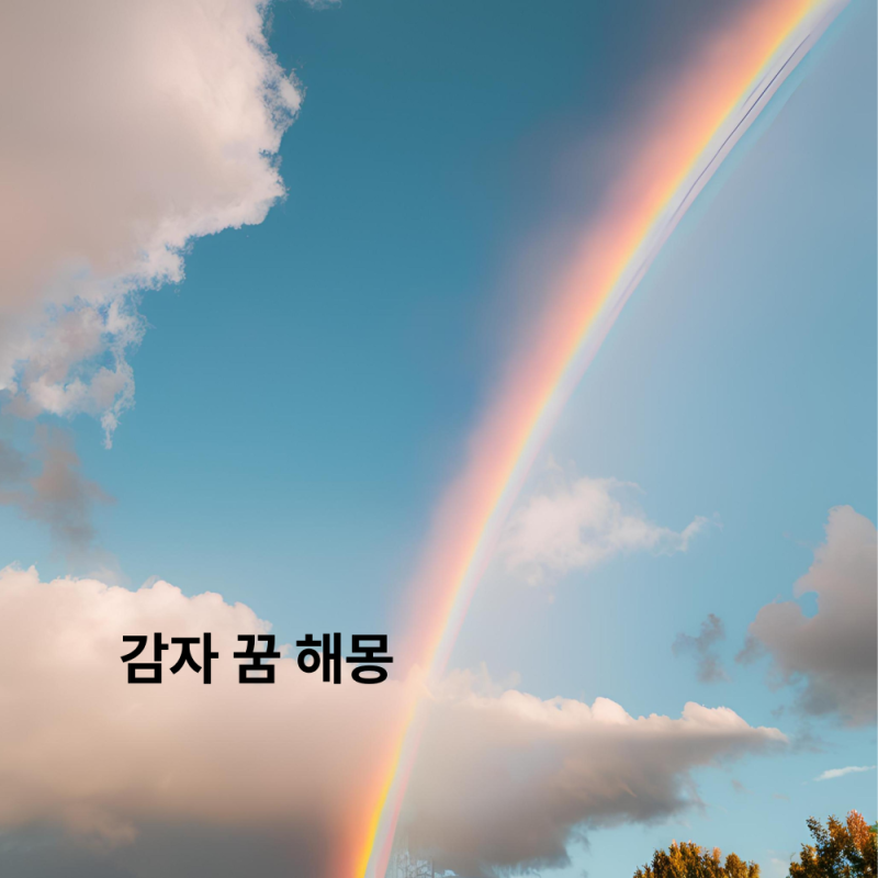 감자 먹는 캐는 썩은 수확하는 쌓여있는 꿈 해몽