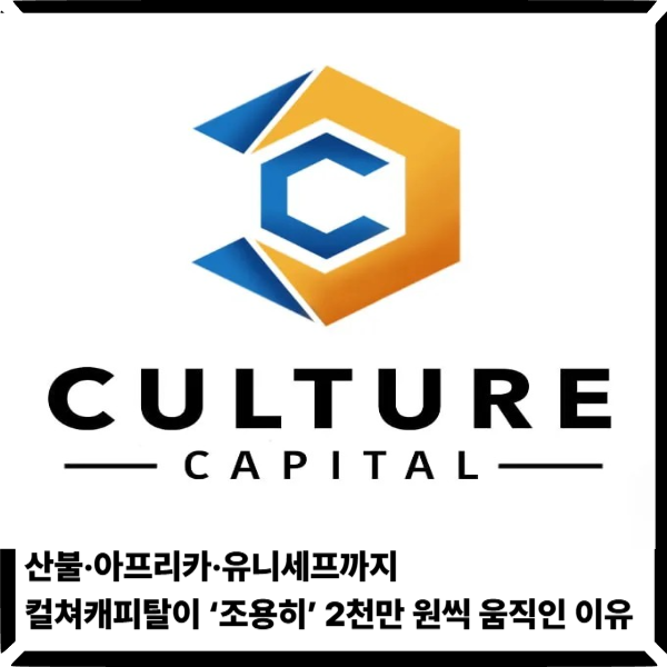  산불·아프리카·유니세프까지… 컬쳐캐피탈이 ‘조용히’ 2천만 원씩 움직인 이유