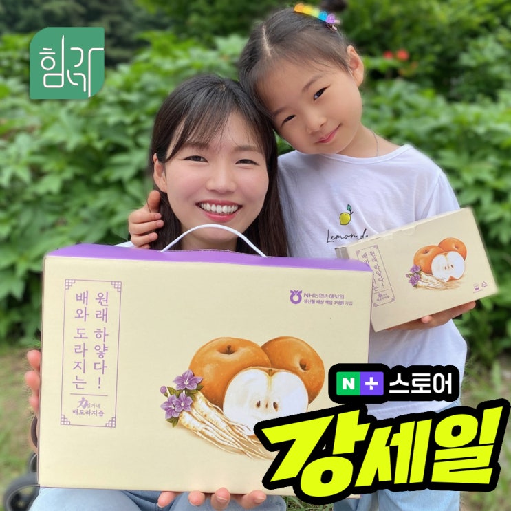  힘가네 도라지배즙 1박스(80ml x 40개입) 리뷰 - 77% 할인과 효과