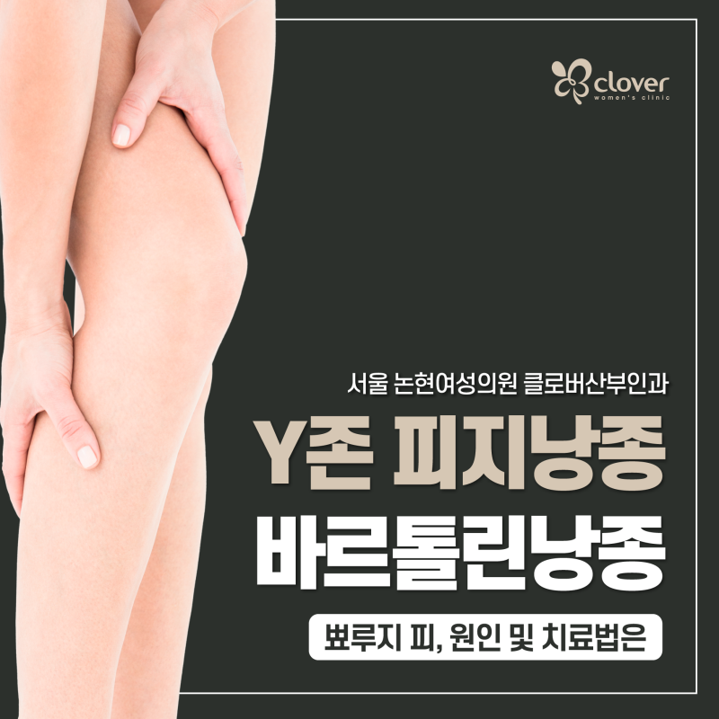 서울 논현여성의원 클로버산부인과 Y존 피지낭종 바르톨린낭종 뾰루지 피, 원인 및 치료법은