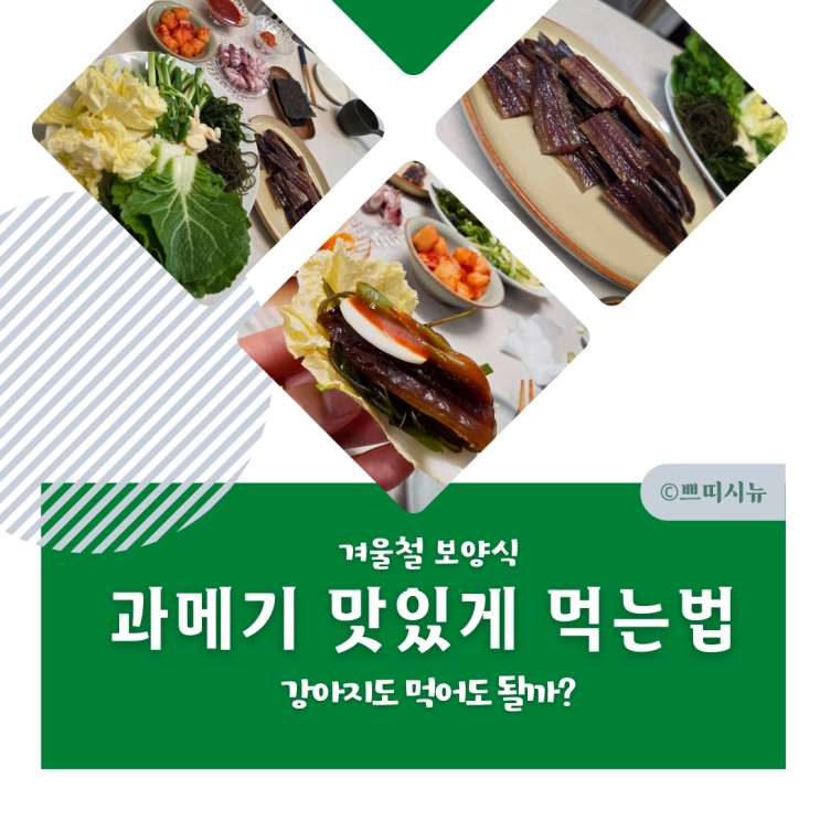  겨울철 별미 과메기 효능과 맛있게 먹는 법 | 강아지는 먹어도 될까?