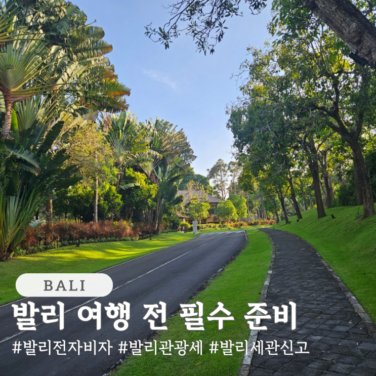  발리 비자 발급 발리 관광세 발리 세관신고 헬스 패스