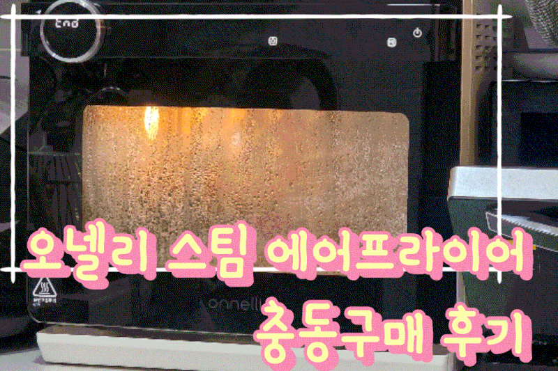 오넬리 스팀에어프라이어 이제이쿡에서 충동구매 후 사용기