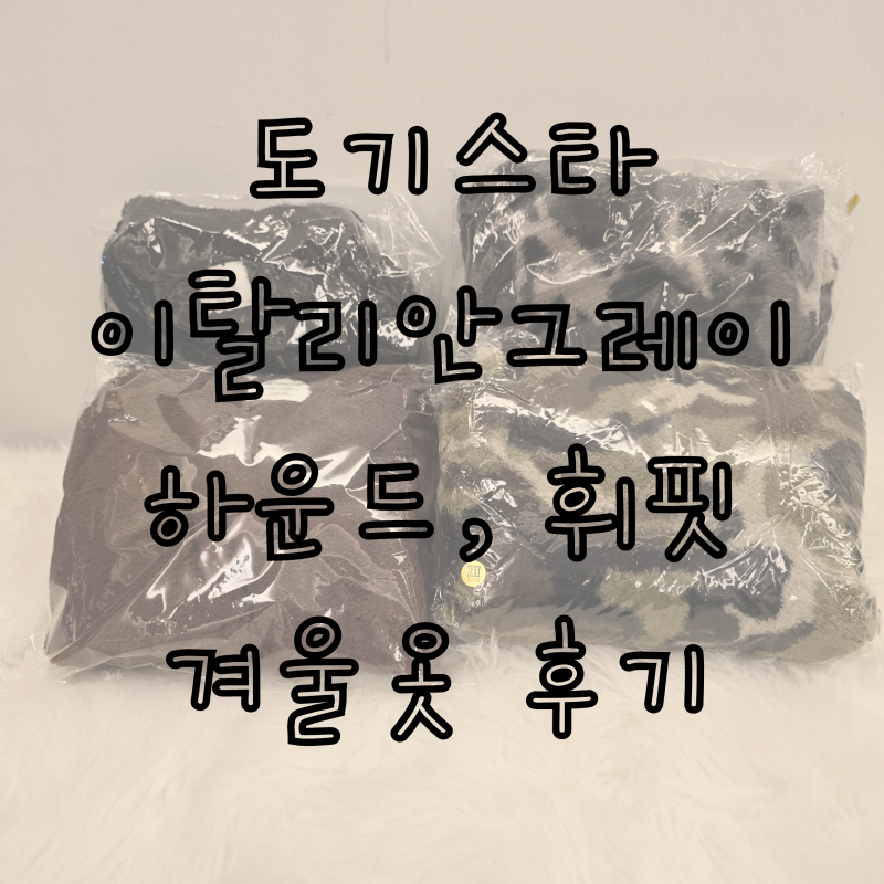 [도기스타] 내돈내산 아이쥐 휘핏 옷 피팅 후기