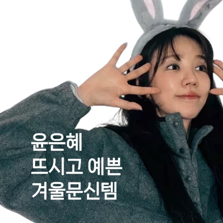  토끼인간! 윤은혜 그레이 후리스 아노락 반집업 맨투맨 + 추천템11가지 (더바넷 오트앤드 라무어 더바넷 포에토 이브세이지 레터프롬문)