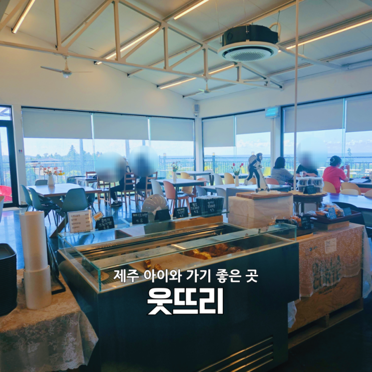  제주 웃뜨리 카페｜제주투어패스로 발견한 귤밭뷰 숨은 카페