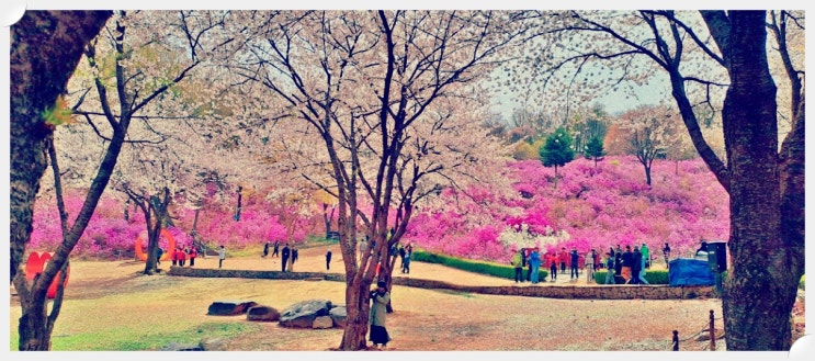 <b>촉법</b>소년 <b>연령 하향</b> 논쟁과 사회적 파장 들여다보기