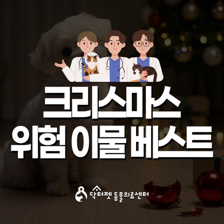  강아지 고양이 크리스마스에 위험한 이물 섭취 베스트 5 부산 24시 동물병원