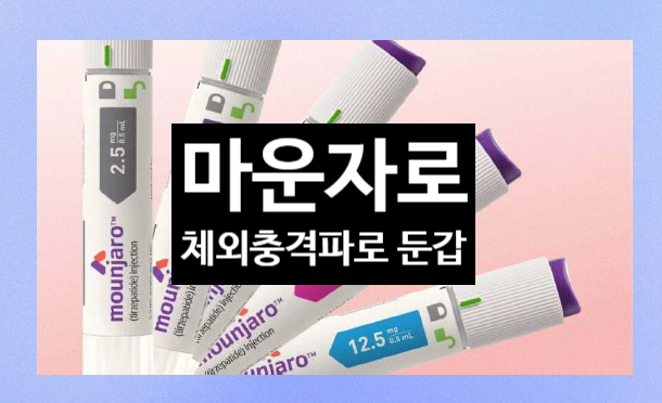  마운자로 실손보험 처방 사기의혹 (뉴스 기사 중점)