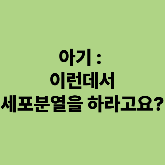  용인 임신준비 한의원 내가 아기라면 어떤 자궁에 들어가고 싶을까? (난임)