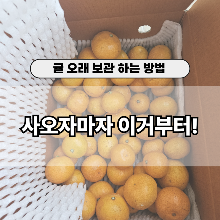  귤 보관 방법｜곰팡이 안 생기게 하는 실온 보관법 정리
