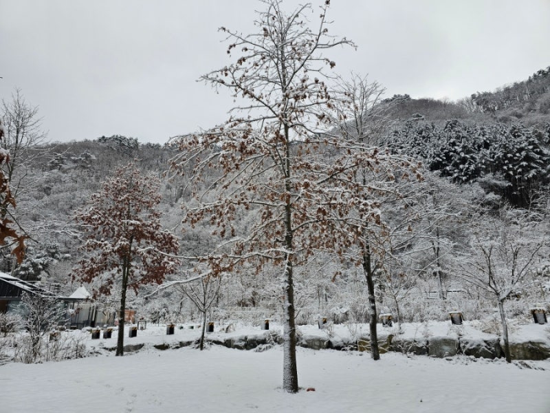 사진 8
