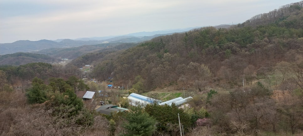 샛골 사진 6