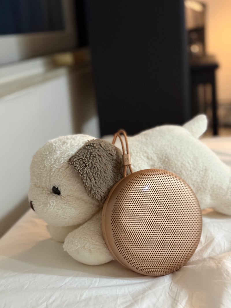 휴대용 블루투스 스피커 추천 뱅앤올룹슨 베오사운드 A1 3세대 Honey